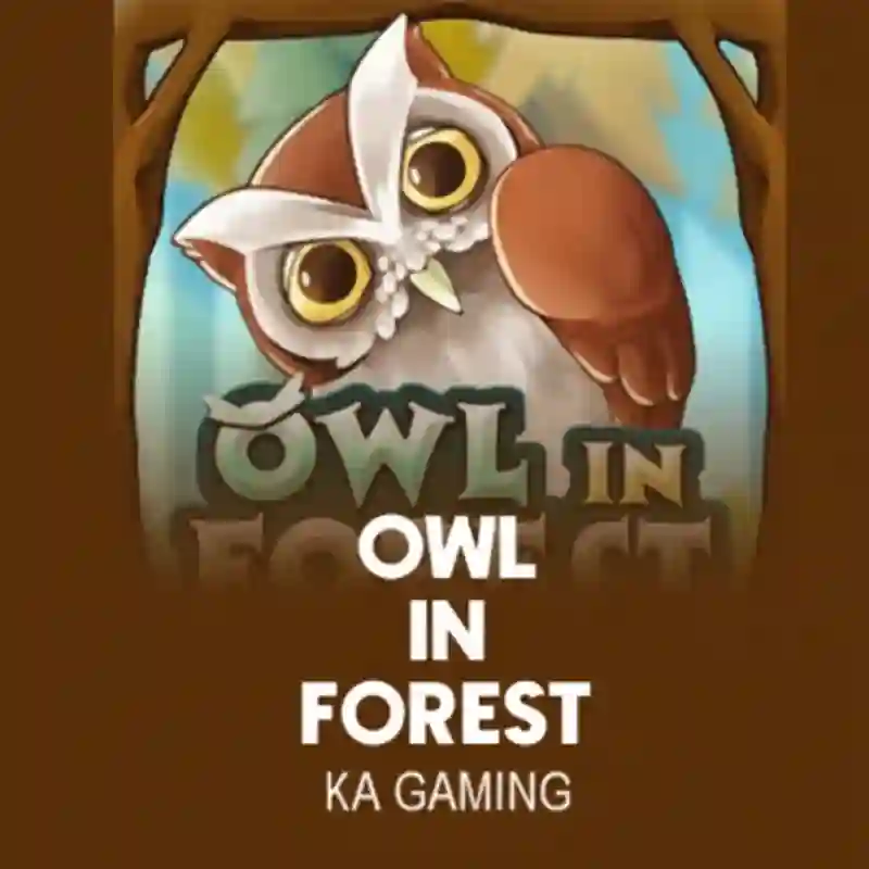 OwlIn Forest